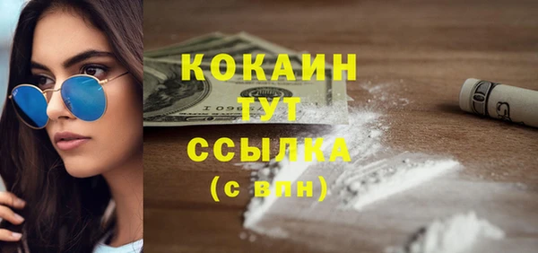 прущий лед Алзамай