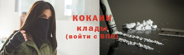 прущий лед Алзамай