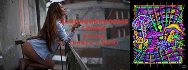 синтетический гашиш Алексеевка